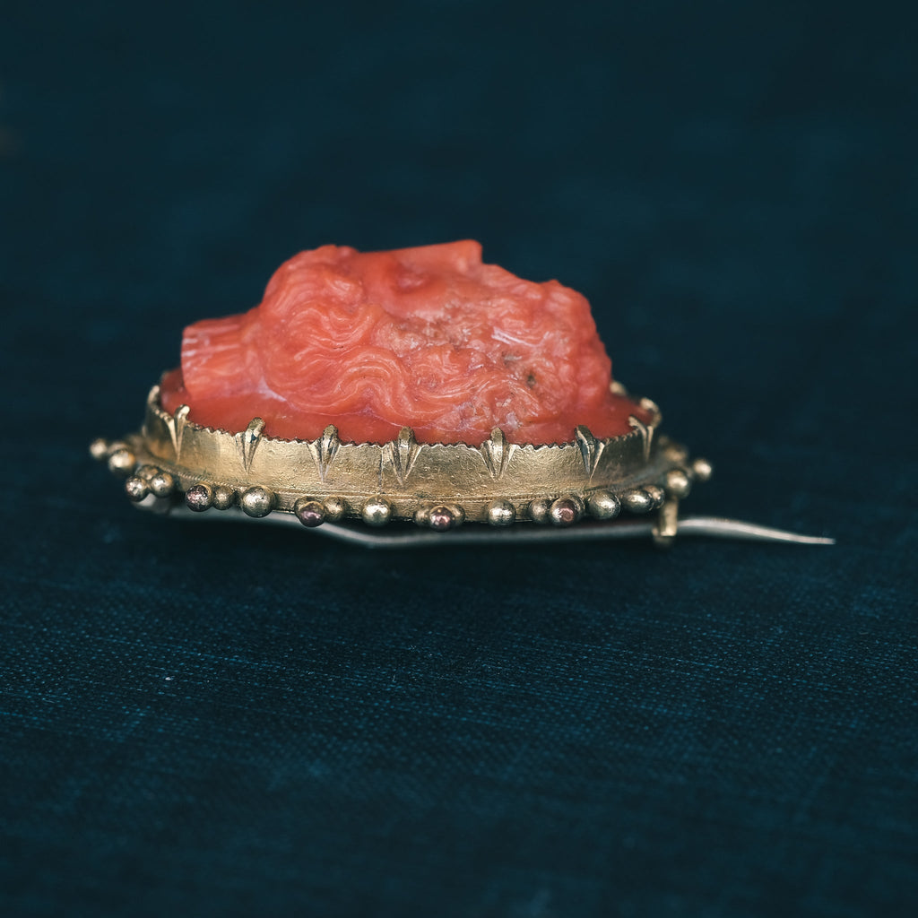 17th Century Zeus Cameo Brooch - Lost Owl Jewelry