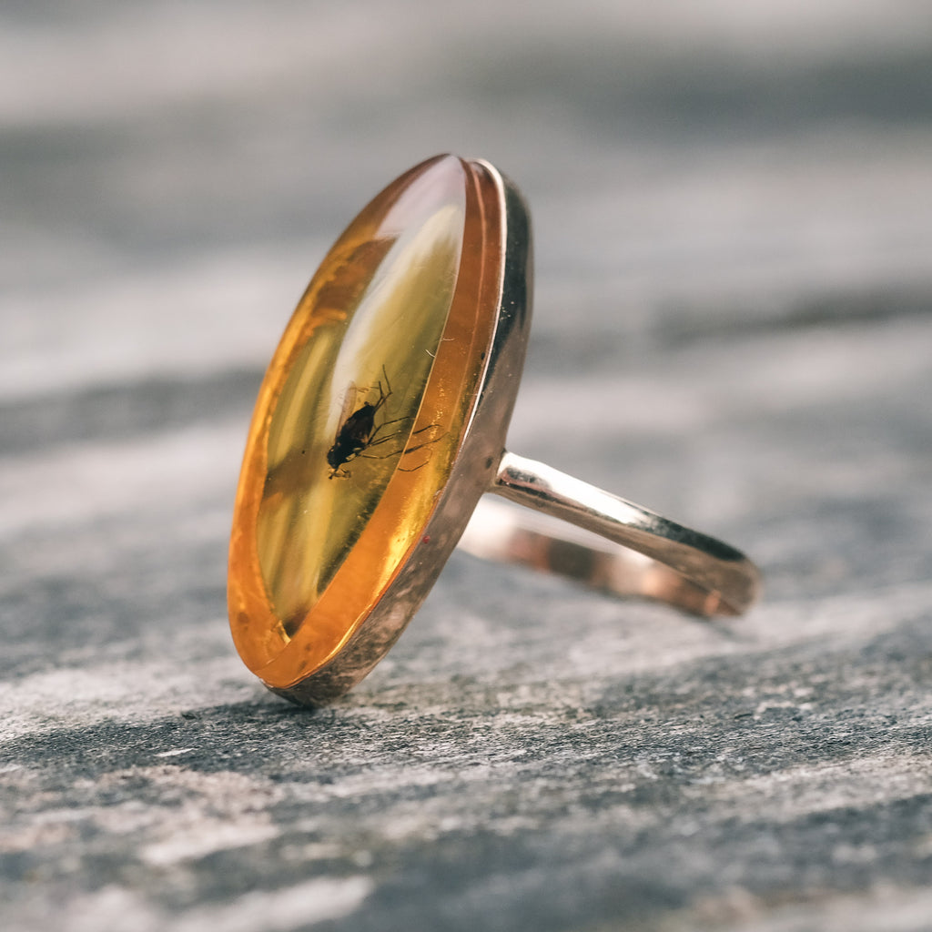 1970s "Fly in Amber" Ring - Lost Owl Jewelry