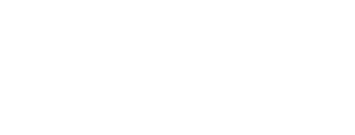 Lost Owl Jewelry