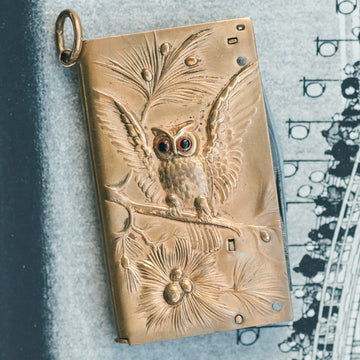 Antique Brass Owl Vesta Case - Lost Owl Jewelry
