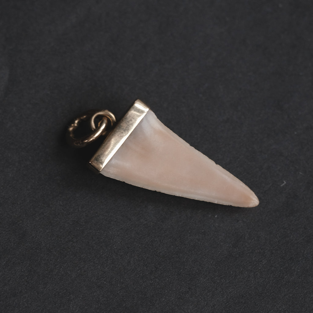Antique Shark Tooth Pendant - Lost Owl Jewelry