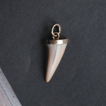 Antique Shark Tooth Pendant - Lost Owl Jewelry