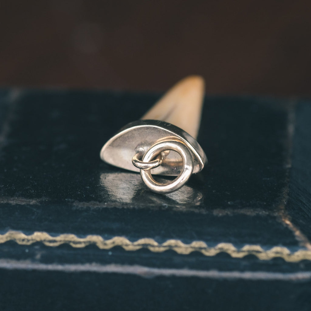 Antique Shark Tooth Pendant - Lost Owl Jewelry