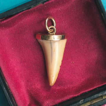 Antique Shark Tooth Pendant - Lost Owl Jewelry