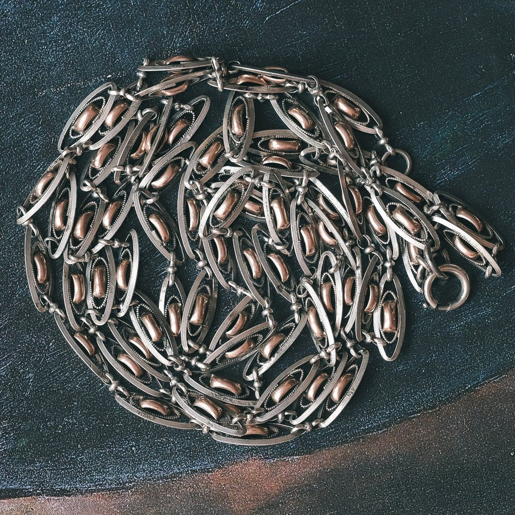 Early Victorian Bimetal Guard Chain - Lost Owl Jewelry
