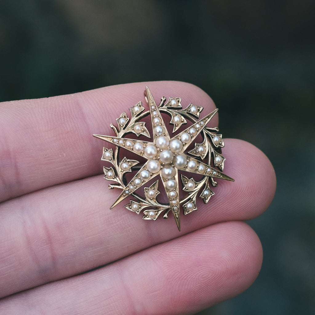 Edwardian Pearl Star Brooch - Lost Owl Jewelry