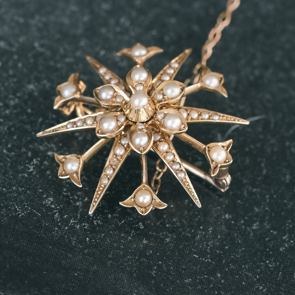 Edwardian Star Flower Brooch - Lost Owl Jewelry