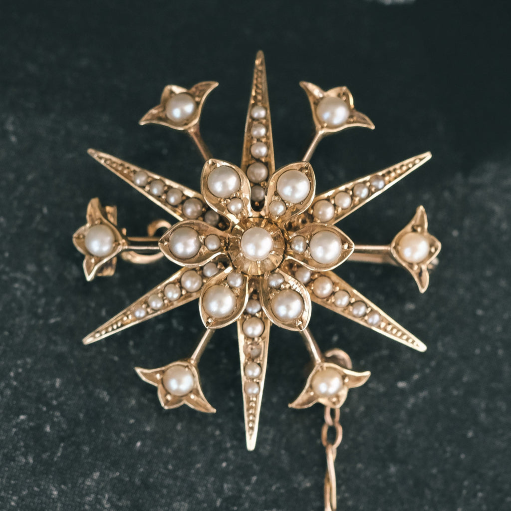 Edwardian Star Flower Brooch - Lost Owl Jewelry