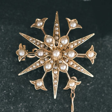 Edwardian Star Flower Brooch - Lost Owl Jewelry
