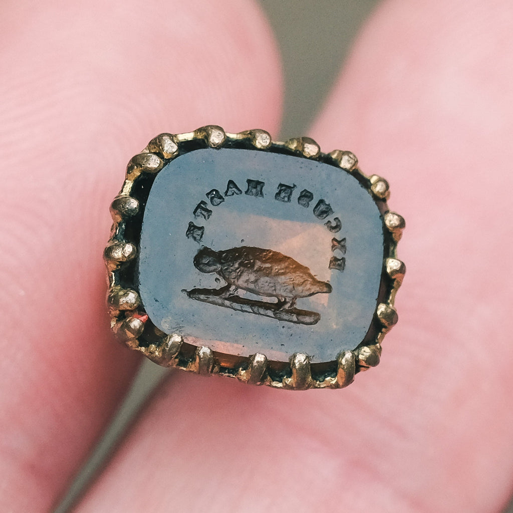 "Excuse Haste" Tortoise Seal Fob - Lost Owl Jewelry