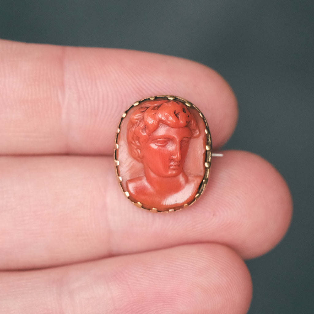 Georgian 'Antinous' Coral Cameo Brooch - Lost Owl Jewelry