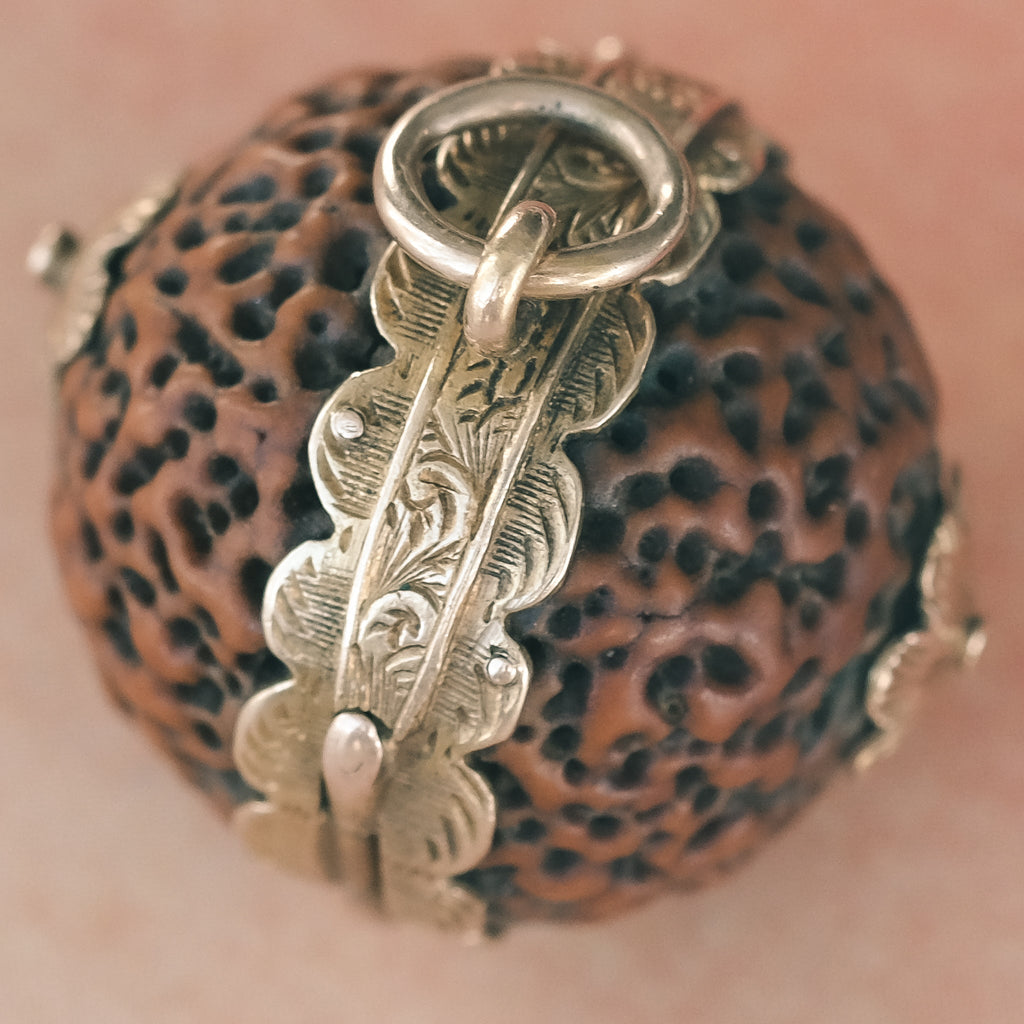 Georgian Quandong Seed Locket - Lost Owl Jewelry