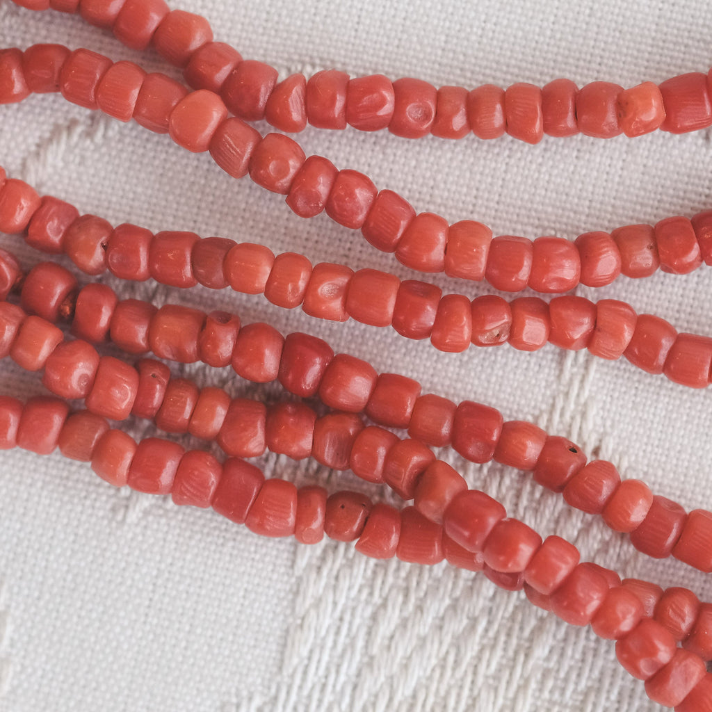 Grand Tour Neapolitan Coral Guard Chain - Lost Owl Jewelry
