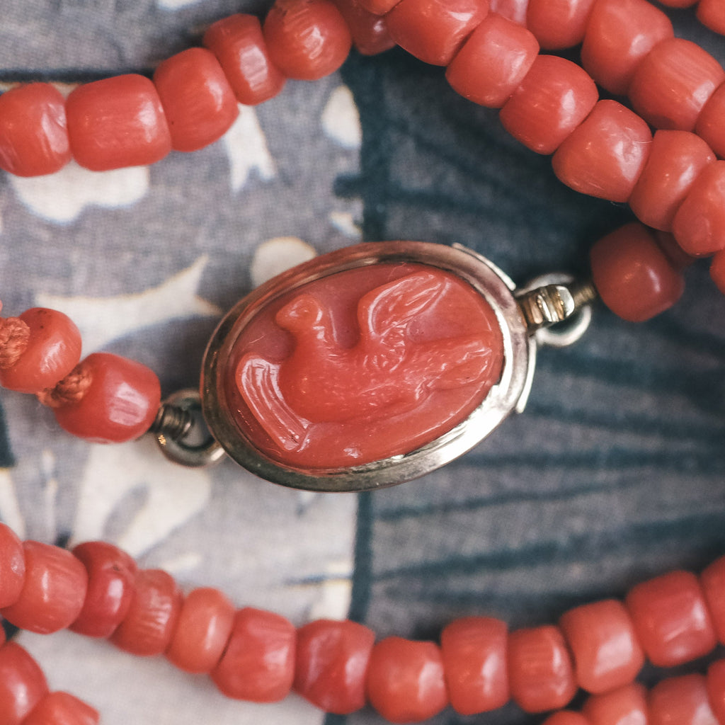 Grand Tour Neapolitan Coral Guard Chain - Lost Owl Jewelry