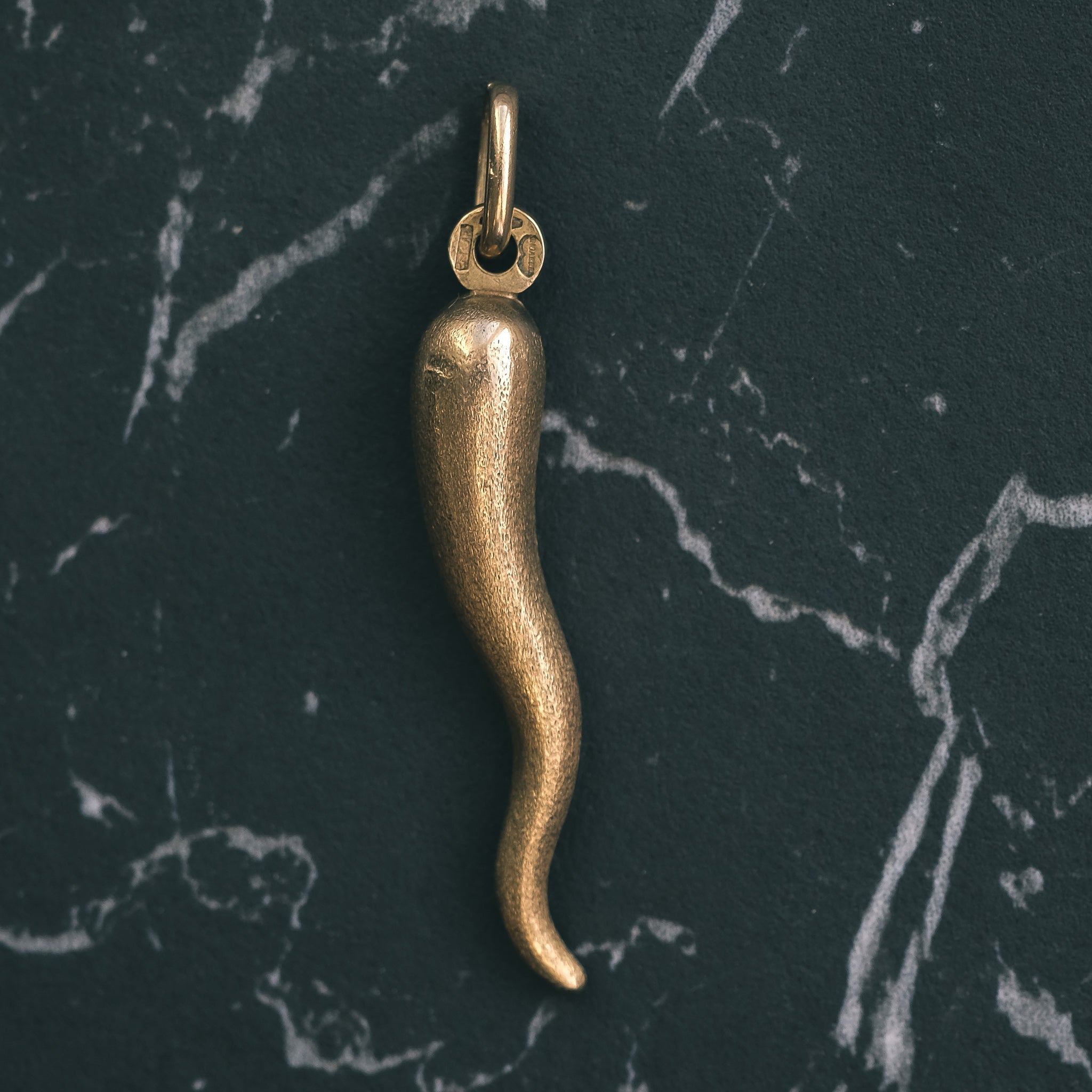 Italian Cornicello Pendant – Lost Owl Jewelry - Main Image