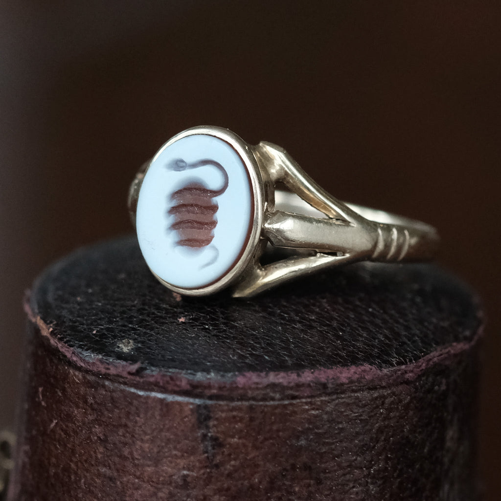 Lost Owl Cosmic Egg Signet Ring - Lost Owl Jewelry