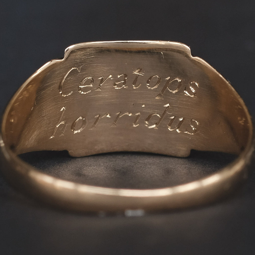 Lost Owl Triceraptos Signet Ring - Lost Owl Jewelry