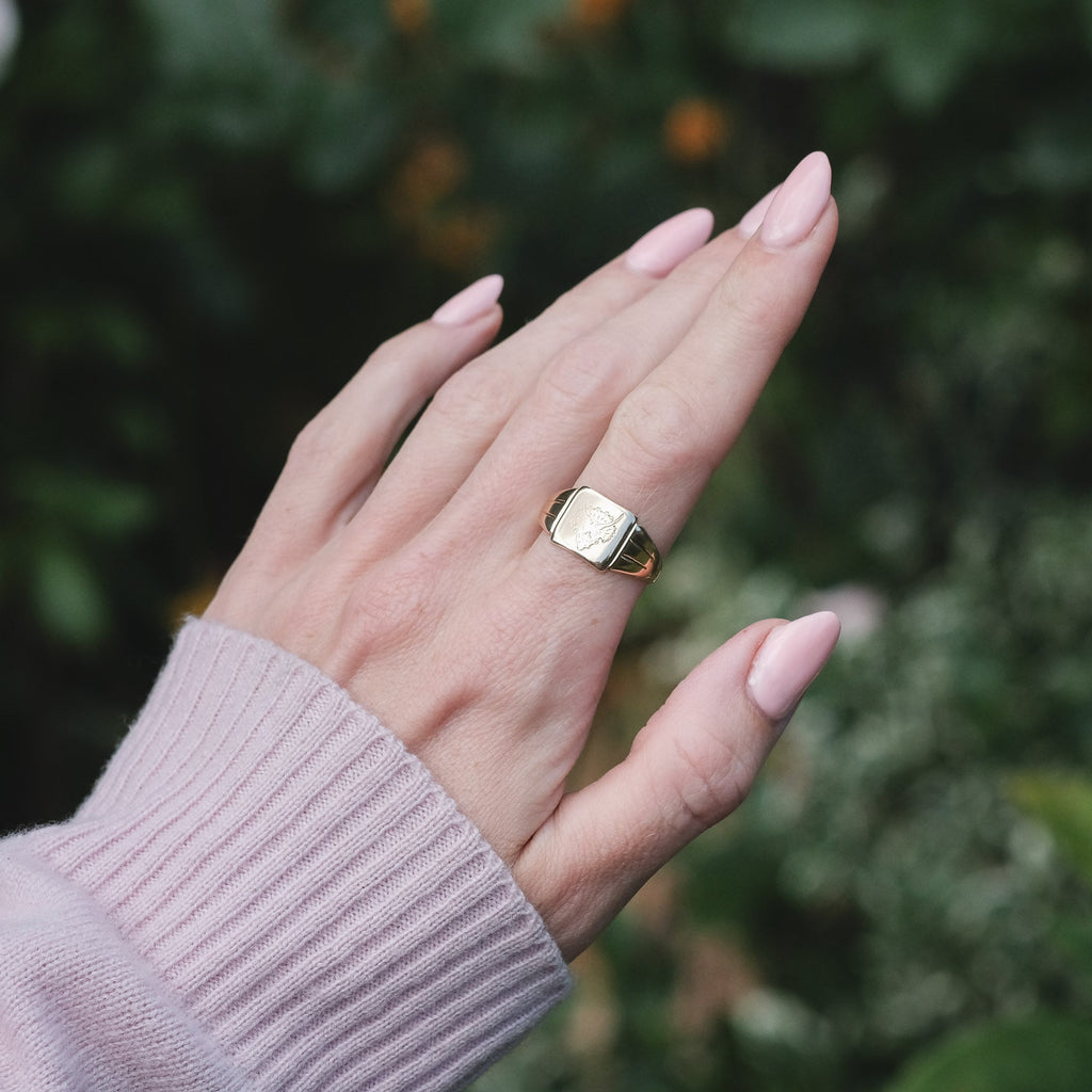 Lost Owl Triceraptos Signet Ring - Lost Owl Jewelry