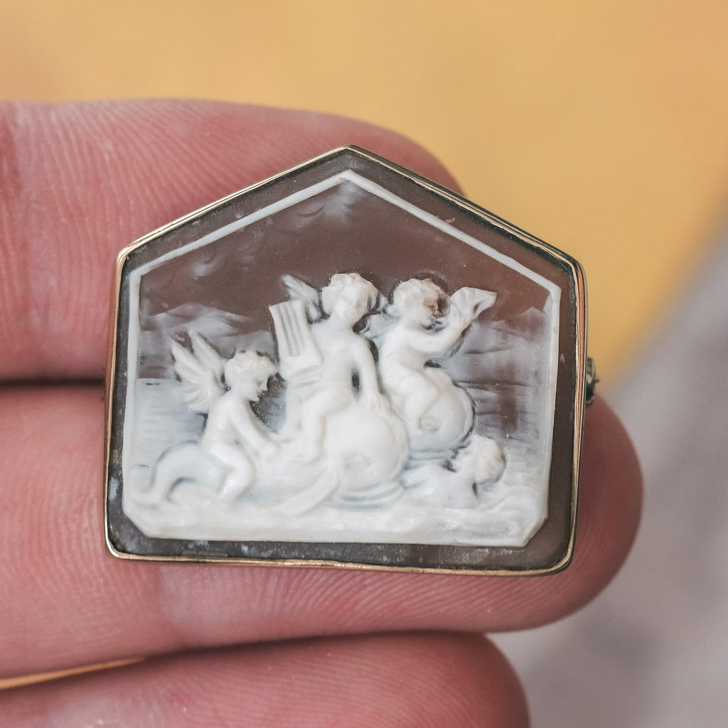 Neoclassical "Cupids Riding Dolphins" Shell Cameo Brooch - Lost Owl Jewelry