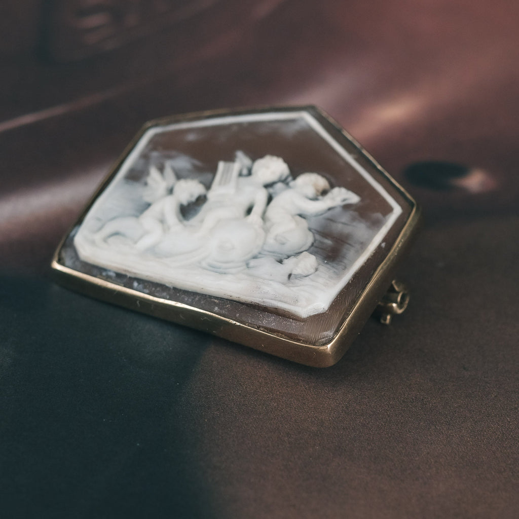 Neoclassical "Cupids Riding Dolphins" Shell Cameo Brooch - Lost Owl Jewelry