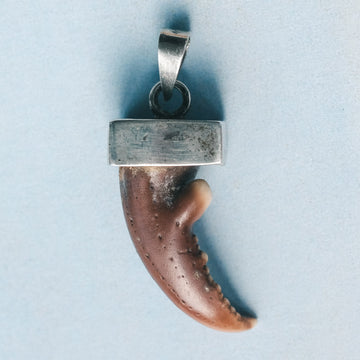 Victorian Lobster Claw Pendant - Lost Owl Jewelry