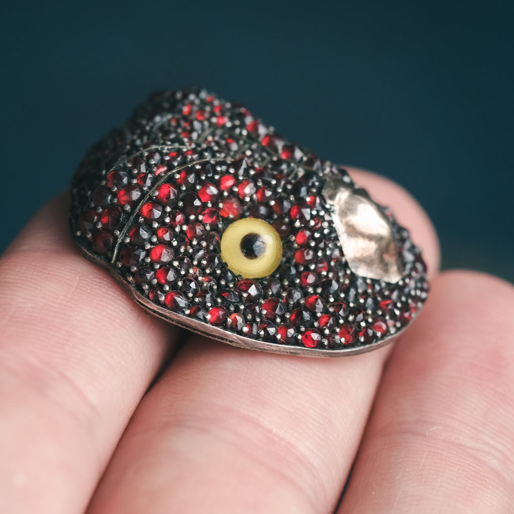 Victorian Lost Owl Brooch - Lost Owl Jewelry