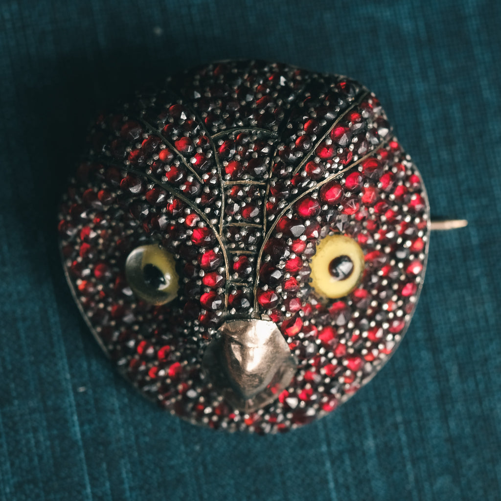Victorian Lost Owl Brooch - Lost Owl Jewelry