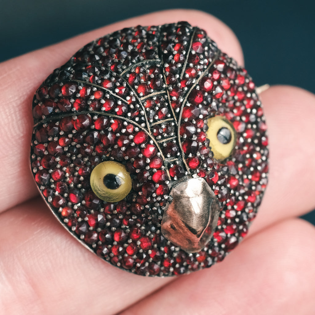 Victorian Lost Owl Brooch - Lost Owl Jewelry