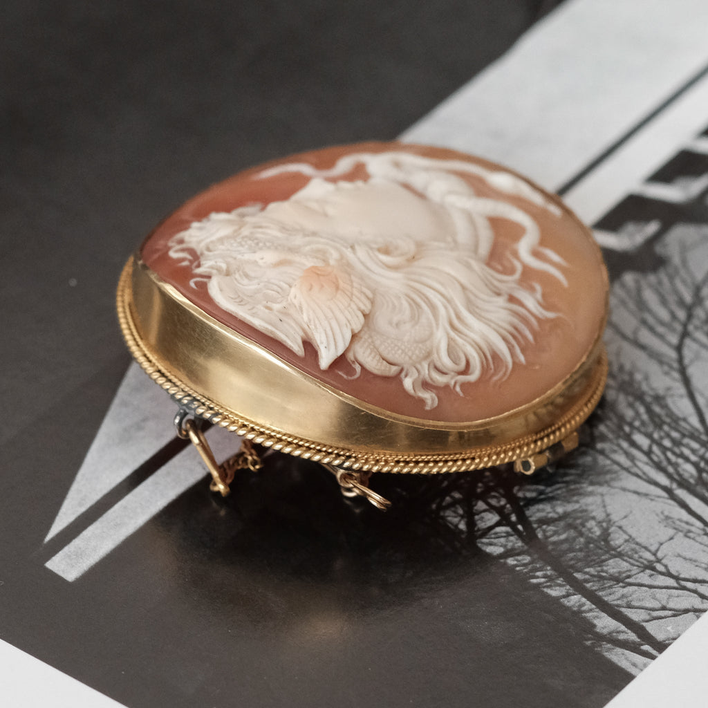 Victorian Medusa Cameo Brooch - Lost Owl Jewelry