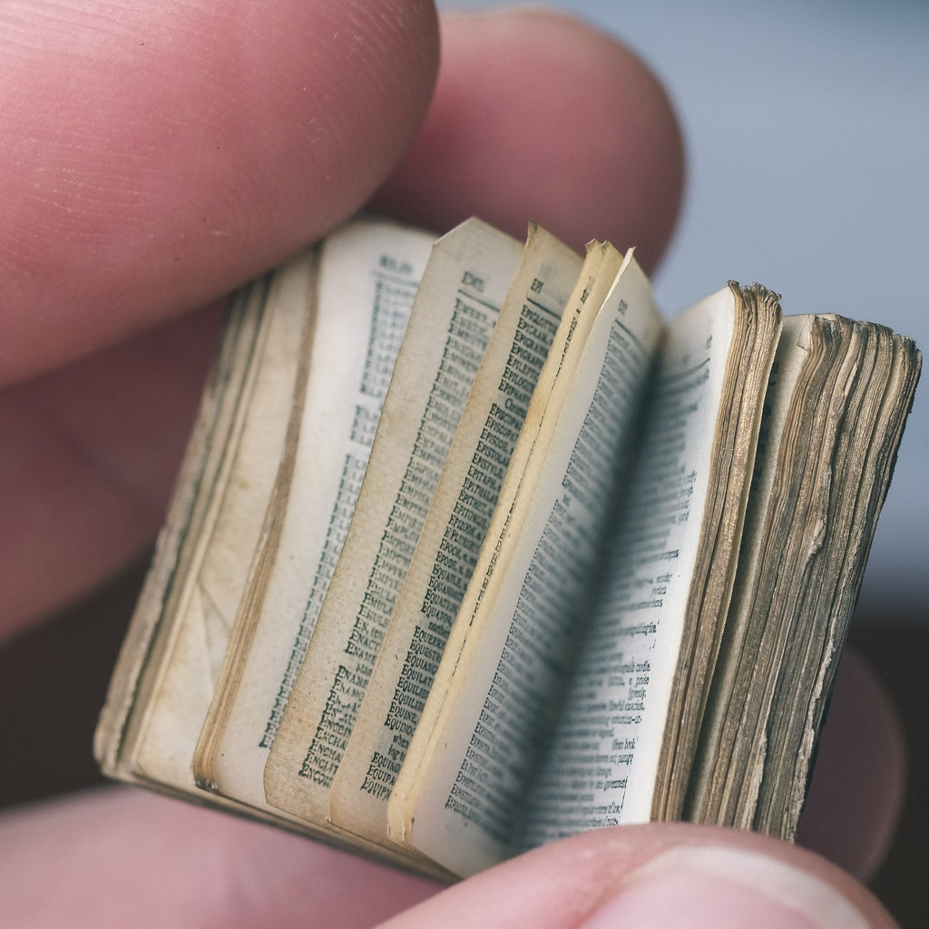 Victorian Miniature Pocket Dictionary - Lost Owl Jewelry
