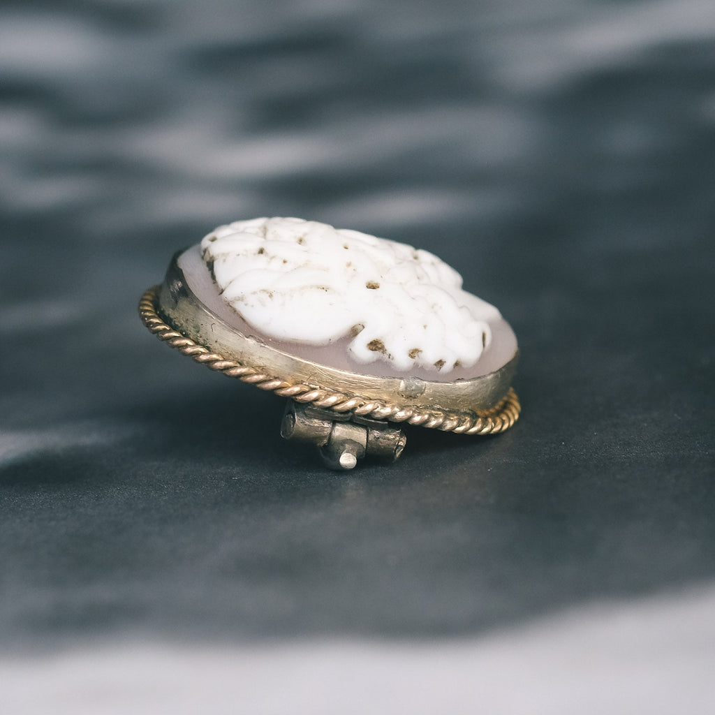 Victorian Zeus Cameo Brooch - Lost Owl Jewelry