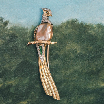 1960s "Bird of Paradise" Brooch - Lost Owl Jewelry