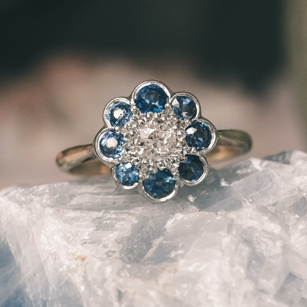 Edwardian Sapphire Daisy Ring - Lost Owl Jewelry