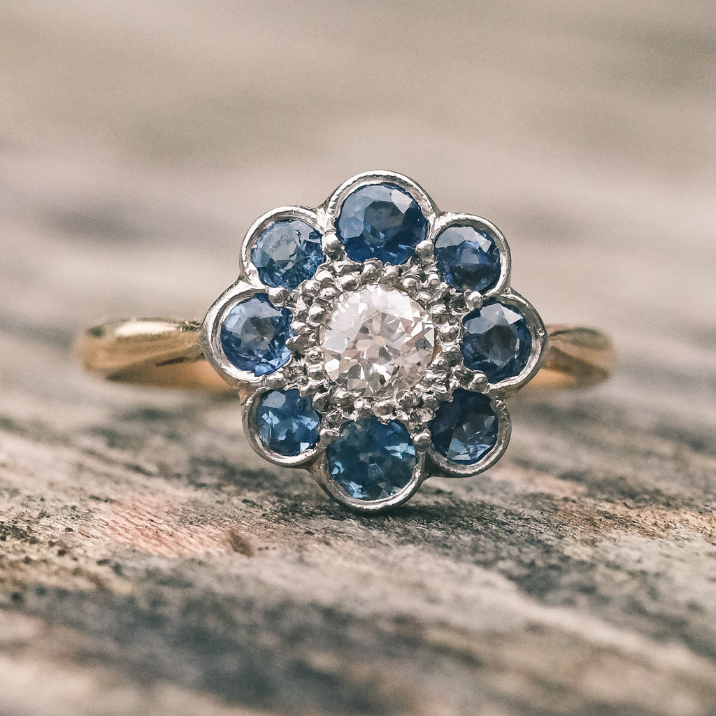 Edwardian Sapphire Daisy Ring - Lost Owl Jewelry