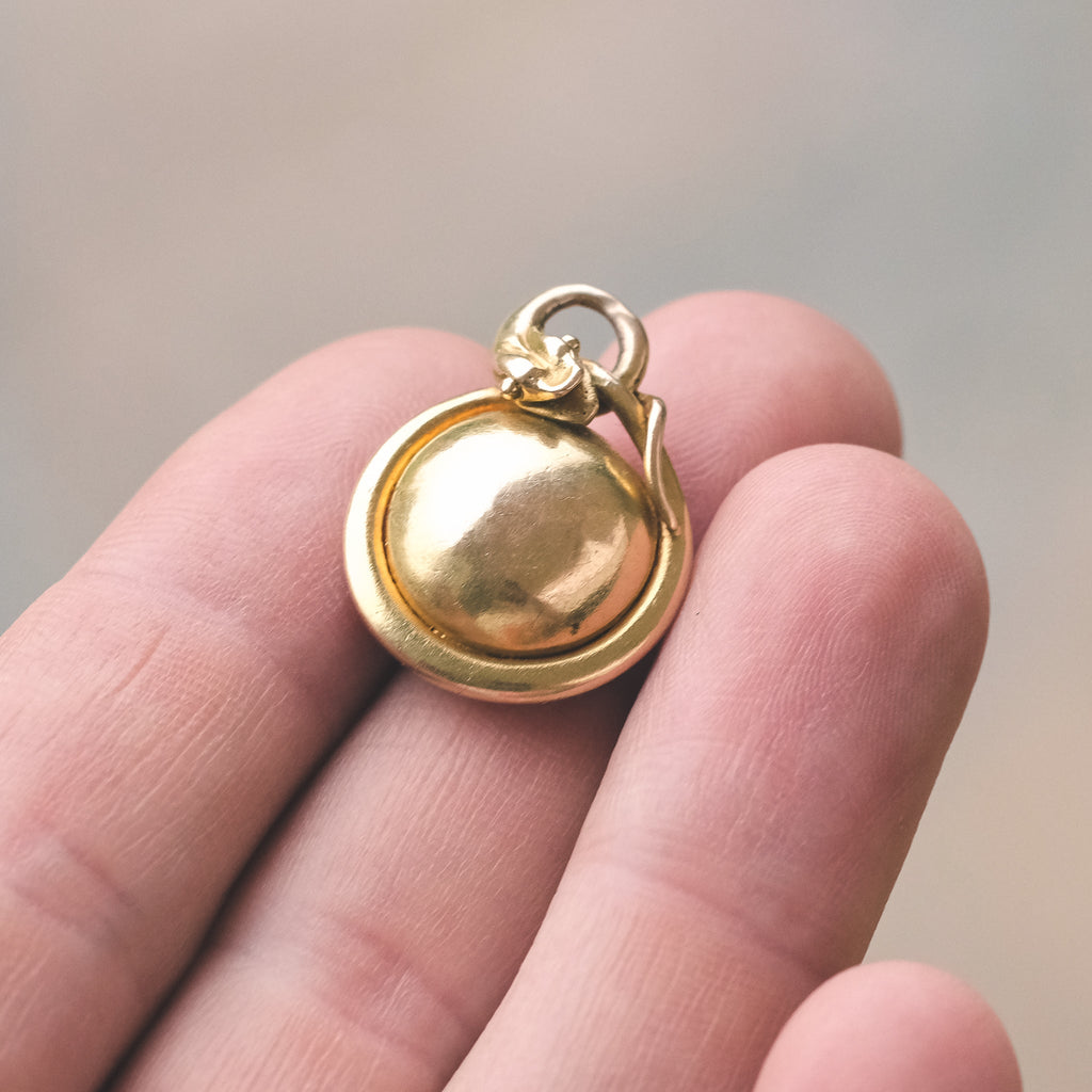 Victorian Sun Snake Locket - Lost Owl Jewelry